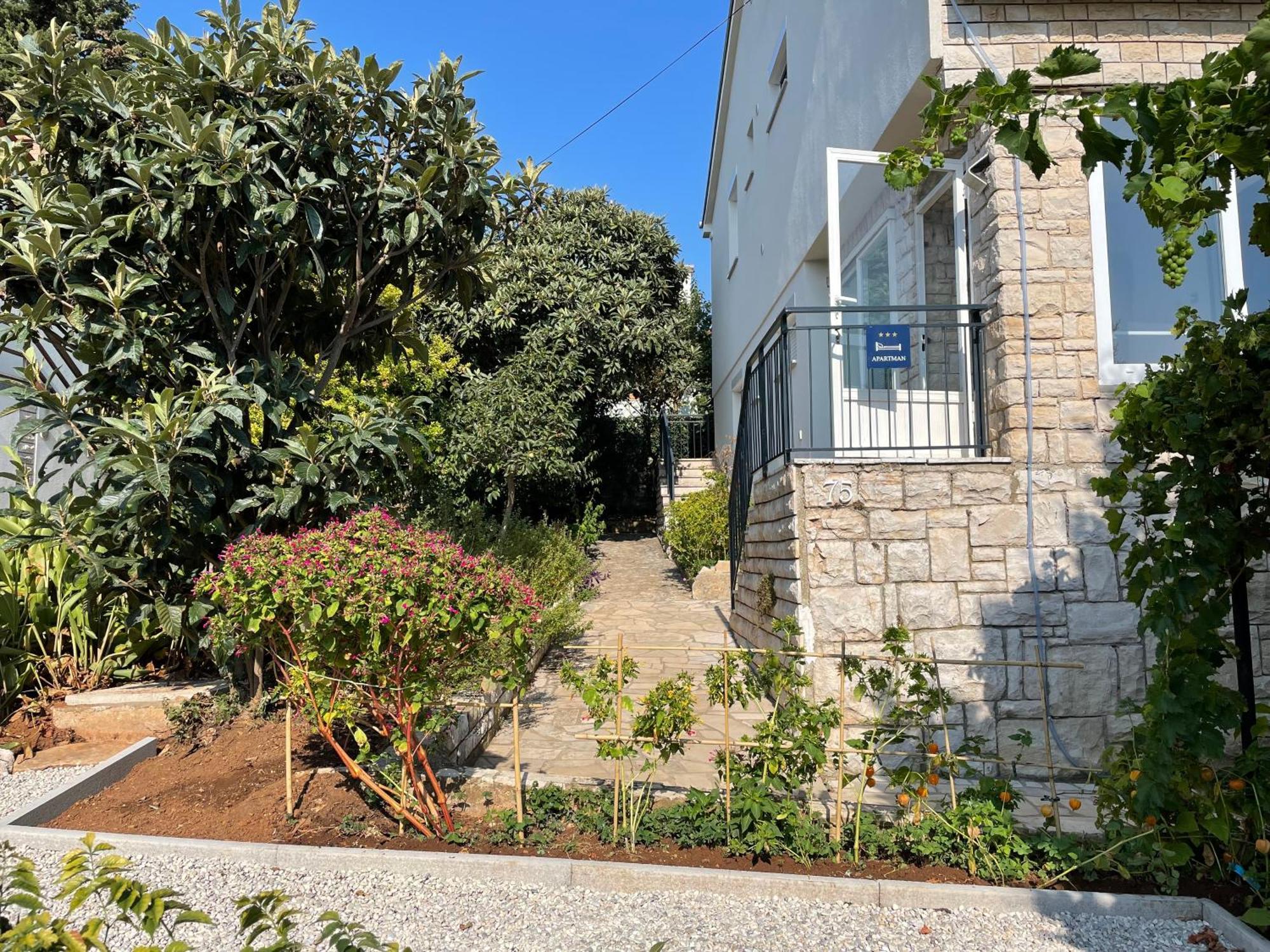Apartment Tulip بريمونتيرا المظهر الخارجي الصورة